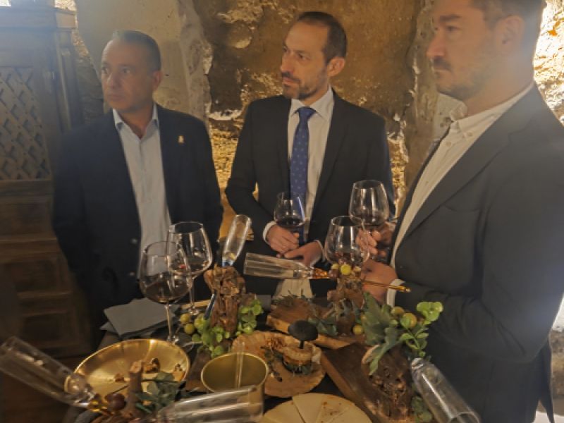 Enclave de Vino Trigueros del Valle