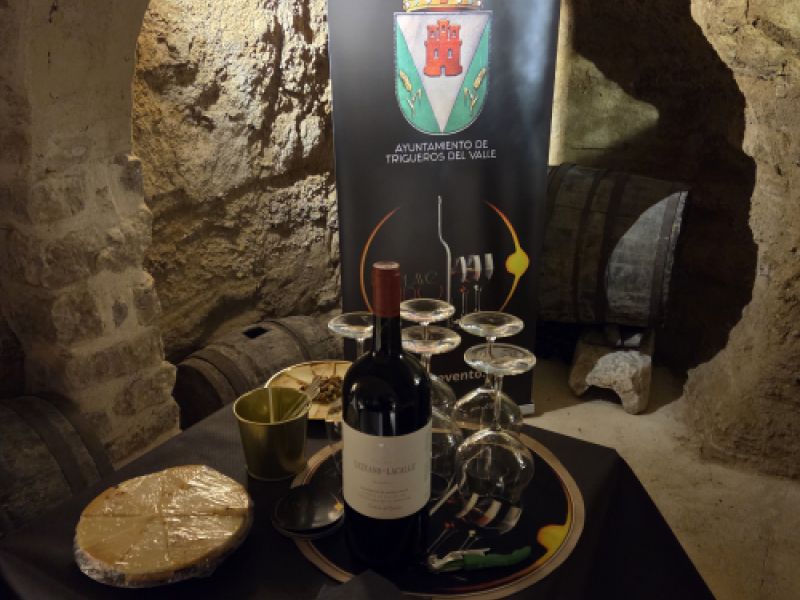 Enclave de Vino Bodega Lagar de Trigueros del Valle