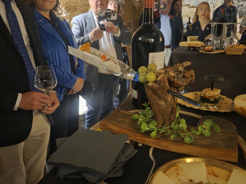 Enclave de Vino Trigueros del Valle